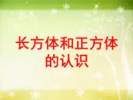 【沪教版五年制】五年级下册第四单元 长方体和正方体的认识 课件