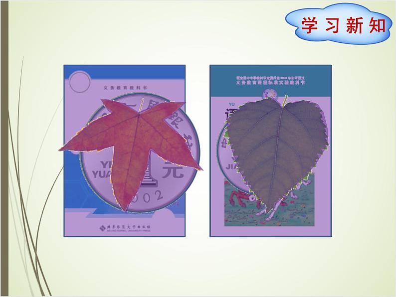 北师大版数学三下5.1 什么是面积(课件)第3页