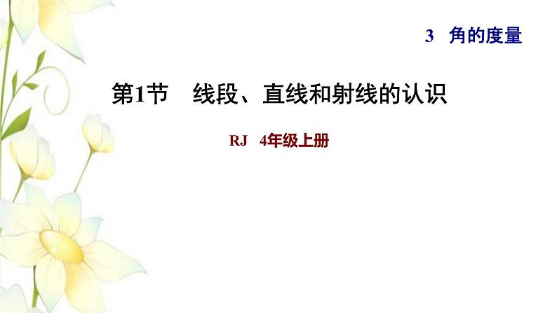 四年级数学上册3角的度量3.1线段直线和射线的认识习题课件新人教版01