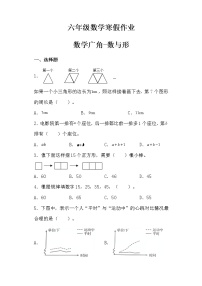 【寒假作业八】人教版六年级数学寒假作业（八）数学广角-数与形