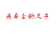 二年级上册数学课件 身上的“尺子” 北京版