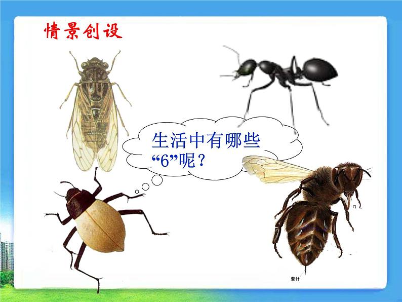 《6的乘法口诀》参考课件第3页