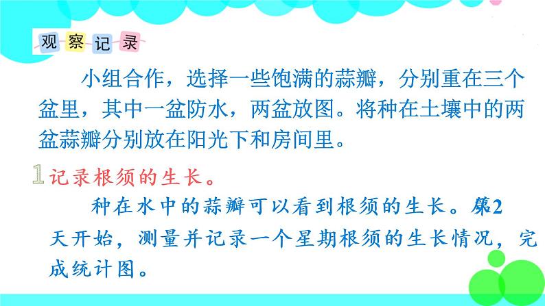 苏教数学五年级下册 综合与实践 蒜叶的生长 PPT课件04