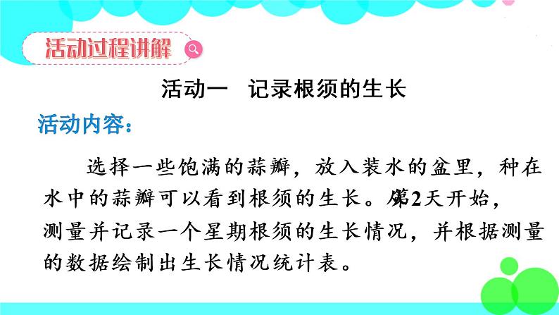 苏教数学五年级下册 综合与实践 蒜叶的生长 PPT课件06