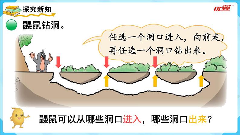数图形的学问PPT课件免费下载03