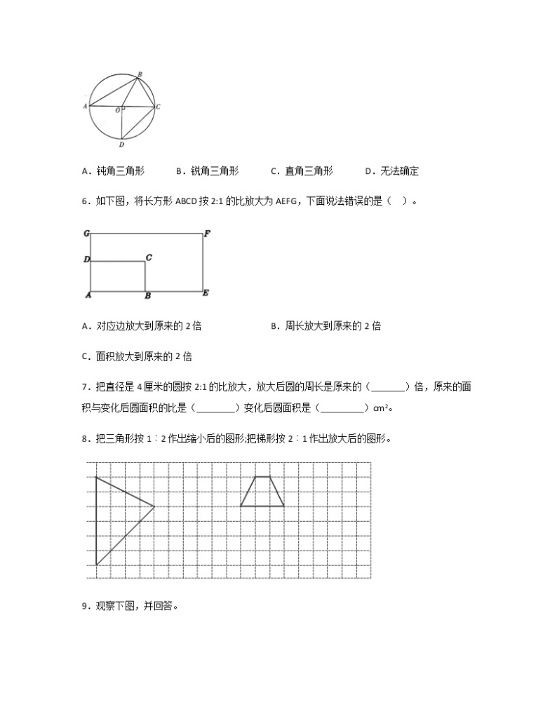 苏教版六年级数学下册试题-4.7 面积的变化 同步练习（含答案）02