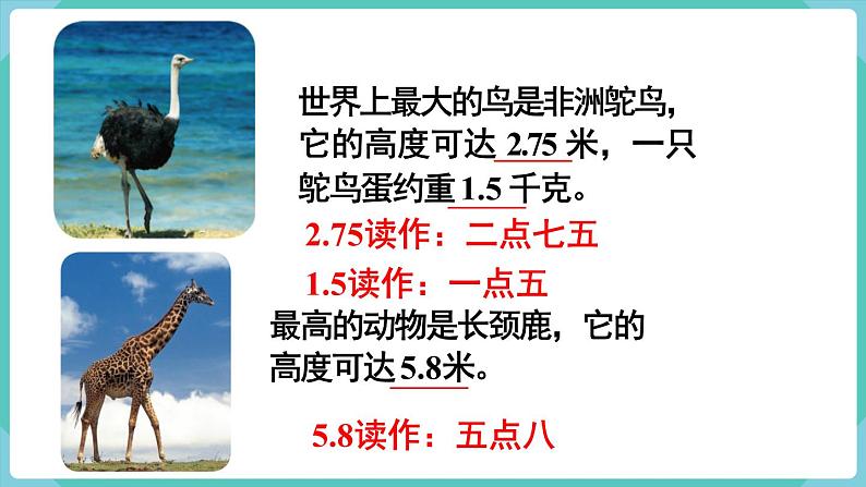 人教版数学三年级下册第七单元:练习二十课件PPT第3页