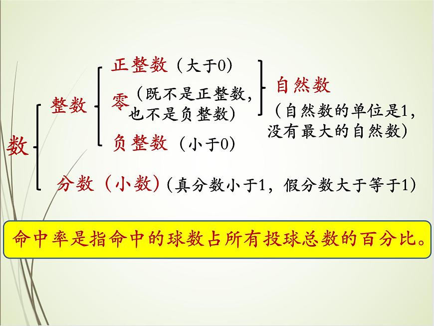 人教版數(shù)學六下總復習1.1  數(shù)的認識（1）（課件）第4頁