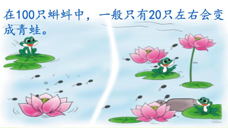 北师大版数学二年级下册 5.5 小蝌蚪的成长（课件）03