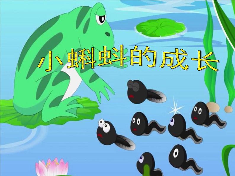 北师大版数学二年级下册 5.5 小蝌蚪的成长(1)(课件)01