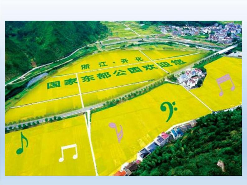 北师大版数学二年级下册 5.6 算得对吗(3)(课件)01