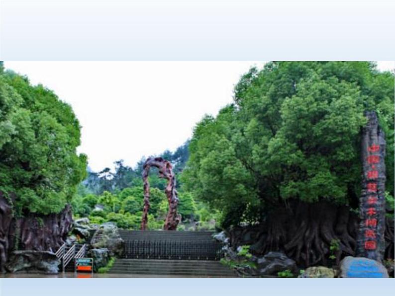 北师大版数学二年级下册 5.6 算得对吗(3)(课件)03