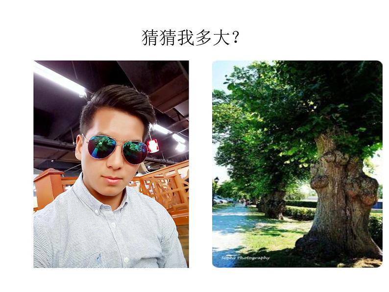 人教版小学数学三年级下册 四.两位数乘两位数 2.笔算乘法 课件1第2页