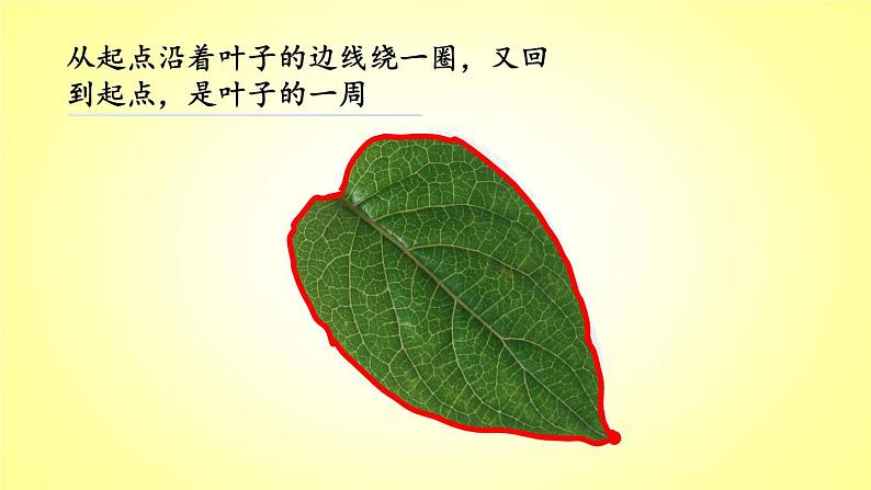 三年级上册数学课件- 八 认识周长_青岛版(共27张PPT)第4页