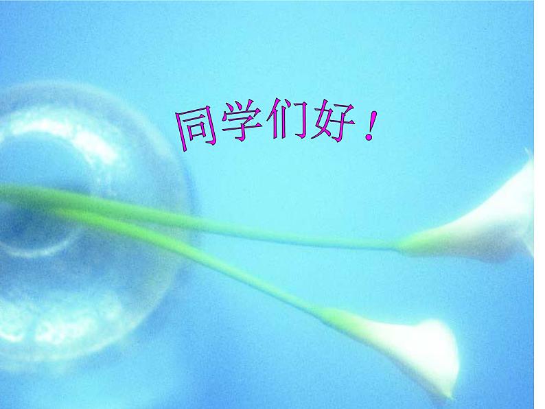 四年级上册数学课件 - 6.2 商不变的性质 北京版(共19张PPT)第2页