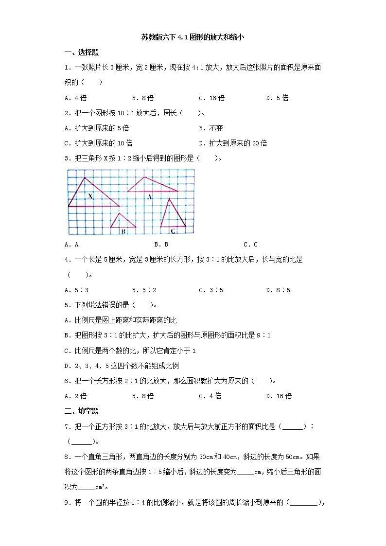 苏教版六下4.1图形的放大和缩小练习题01