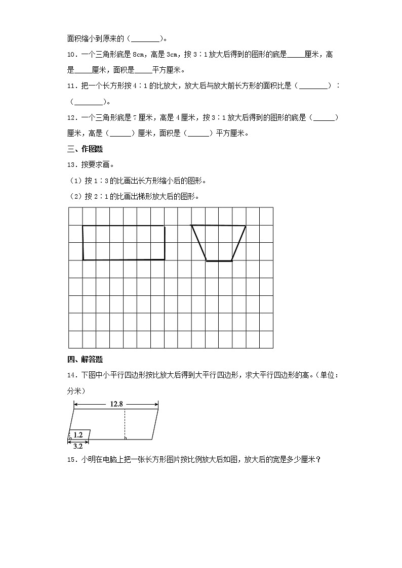苏教版六下4.1图形的放大和缩小练习题02