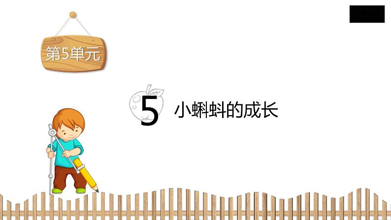 2下数学北师大精品课件5 小蝌蚪的成长第2页