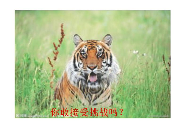 一年级数学上册课件-5.1 6和7加法解决问题(46)-人教版 11张第2页