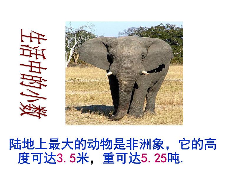 三年级数学下册课件-八 小数的初步认识17-苏教版(共29张ppt)第5页