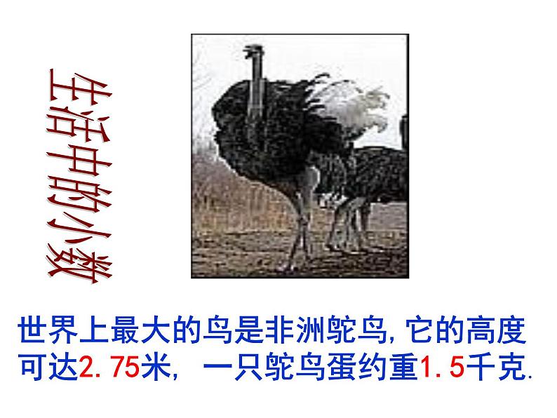三年级数学下册课件-八 小数的初步认识17-苏教版(共29张ppt)第6页