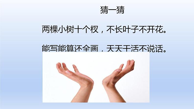 一年级下册数学课件-2 位置(343)-西师大版第3页