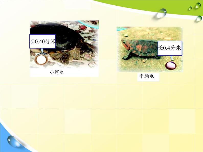 5.2小数的性质 课件03