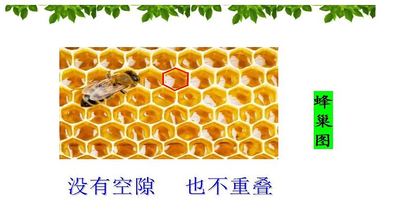 实践活动 图形的密铺 课件06