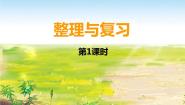 六年级下册数学教案--整理与复习 西师大版 (共 12  张ppt)