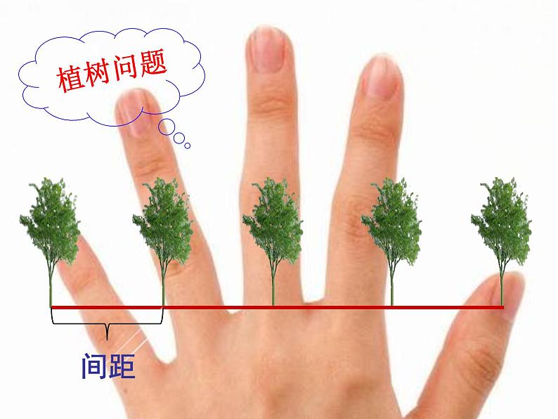 小学数学 冀教课标版 五年级上册 七 土地的面积 种植问题 课件05