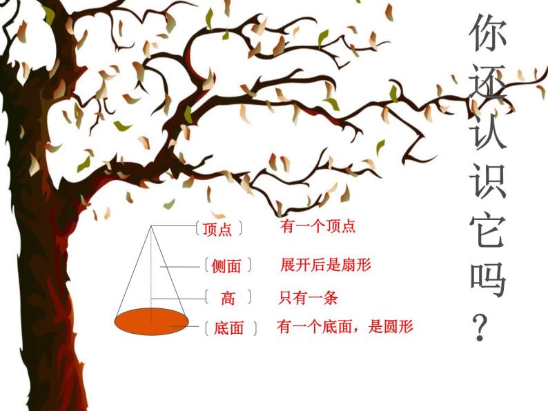 六年级下册数学课件 1.2 圆柱的体积 北京版02