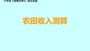 小学数学西师大版六年级下册你知道吗 统计的产生和发展教案配套课件ppt