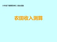 小学数学西师大版六年级下 4.4综合与实践 农田收入测算 课件