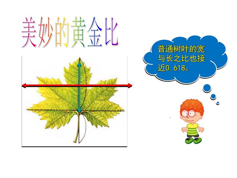 六年级下册数学课件 3.1 黄金比 北京版 (20张PPT)08
