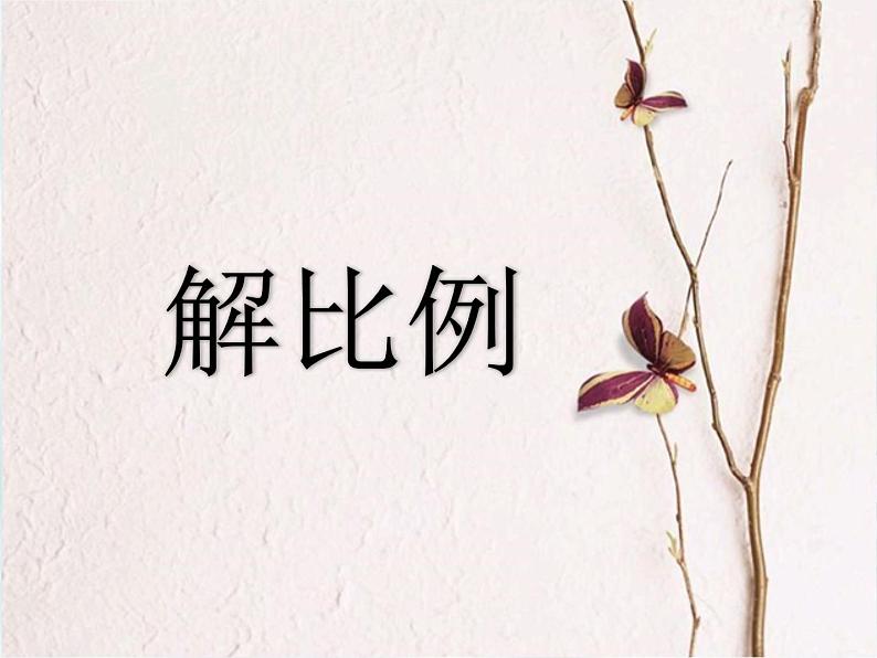 4.3解比例 课件第2页