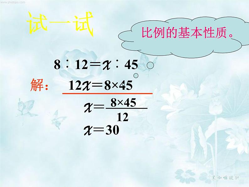 4.3解比例 课件第5页