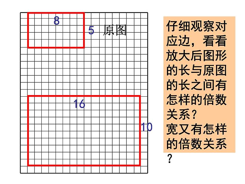 4.7图形的放大与缩小 课件第8页
