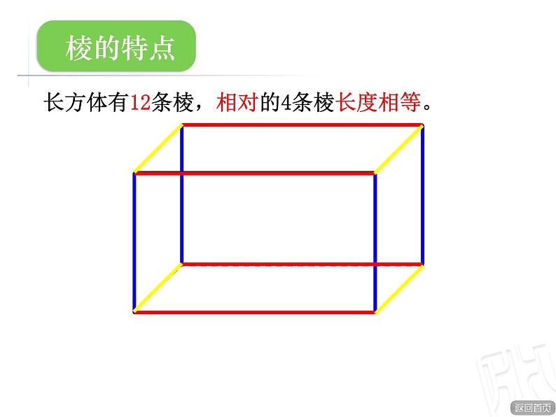 7.1长方体和正方体的认识 课件第7页
