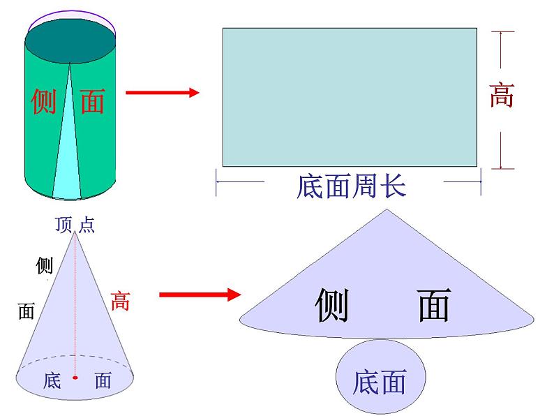 2.1圆柱和圆锥的认识 课件第3页