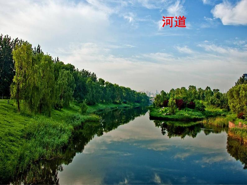 三年级下册数学课件-总复习 图形与几何、年月日、条形统计图 |青岛版(五年制)第8页