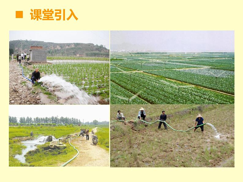 小学数学西师大版六年级下 4.4综合与实践 农田收入测算 课件第2页