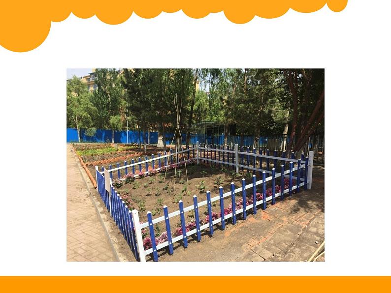 小学数学 北师大版 三年级上册 练习四——周长单元练习部优课件04