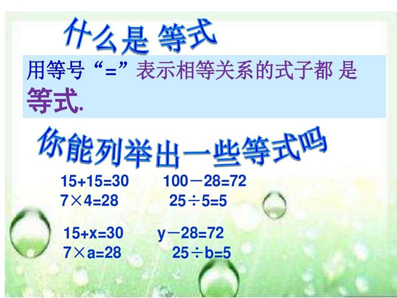 西师大版小学数学五下 5.3认识方程 课件02