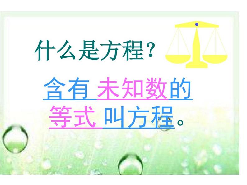 西师大版小学数学五下 5.3认识方程 课件07