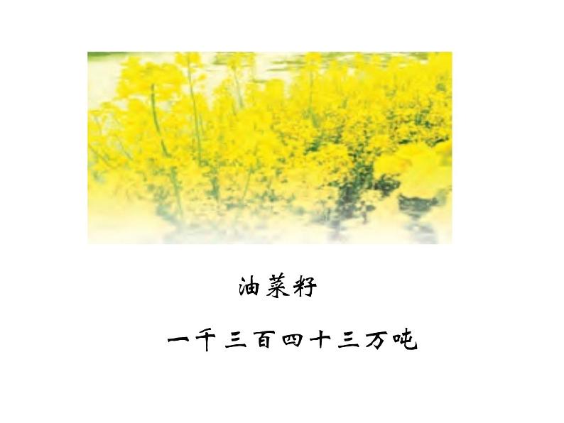 四年级数学下册课件-2.1认识整万数 苏教版(共22张PPT)第4页