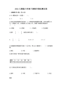 2022人教版六年级下册数学期末测试卷及答案(精品)