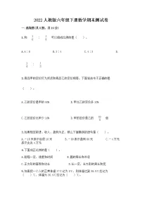 2022人教版六年级下册数学期末测试卷附答案(实用)