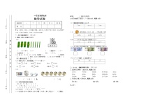 蘇教版一年級(jí)調(diào)研檢測(cè)數(shù)學(xué)試卷1（無(wú)答案）