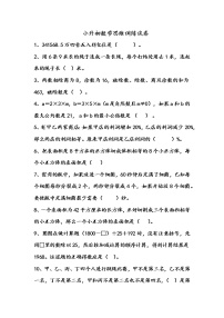 人教版小学数学 小升初数学思维训练试卷  2套（无答案）