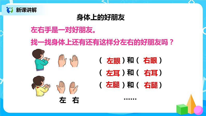 人教数学一年级上册2.2《左、右》课件第6页